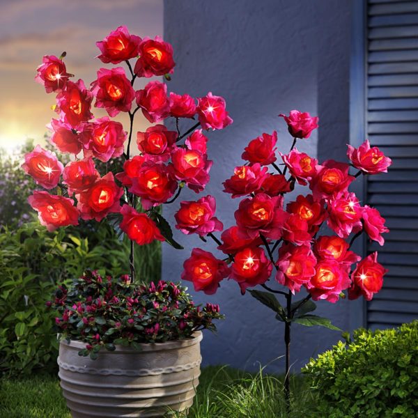 LED Záhradný zápich Ružový ker