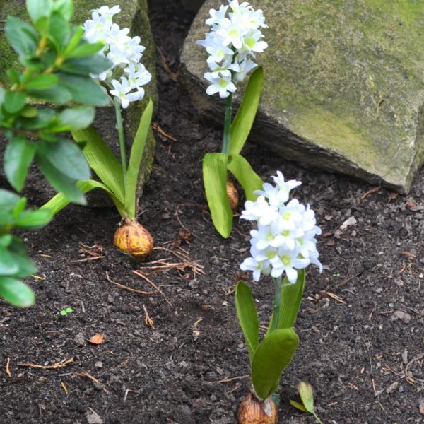Umelá kvetina Hyacint s cibuľkou